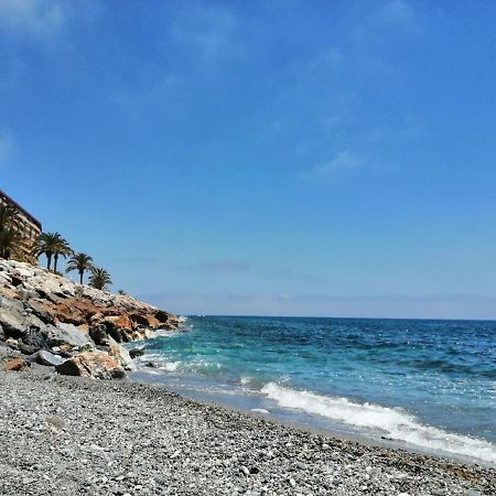 Apartamento Frente Al Mar. 阿尔姆尼卡 外观 照片